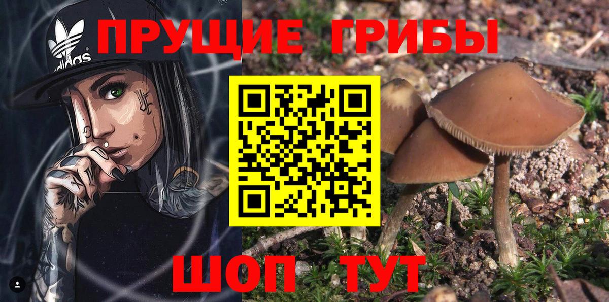 Псилоцибиновые грибы Cubensis Воскресенск